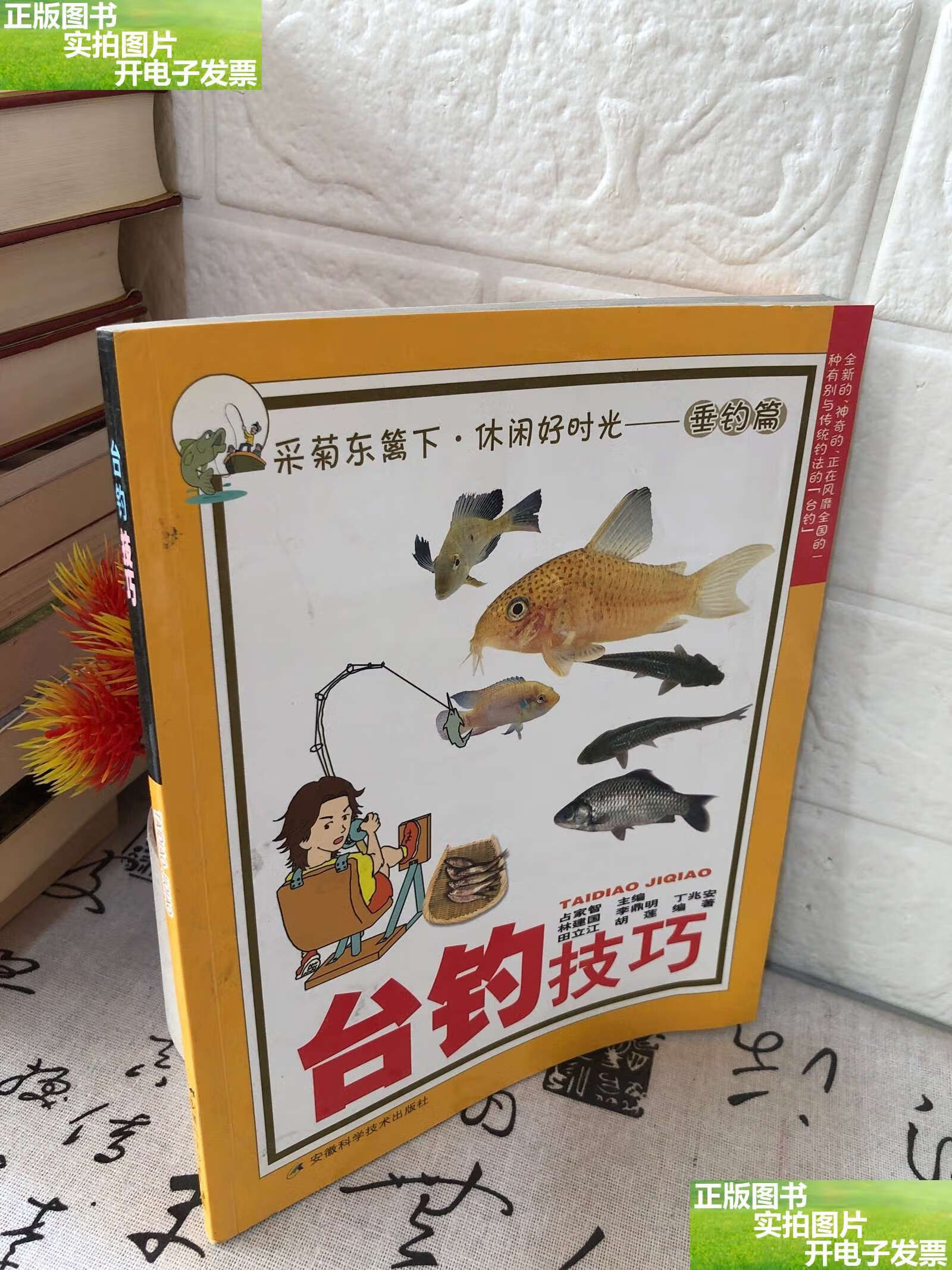 台钓入门技巧(台钓技法)