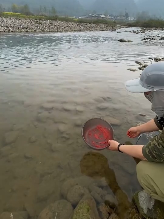 钓溪哥鱼技巧(怎样钓溪哥)