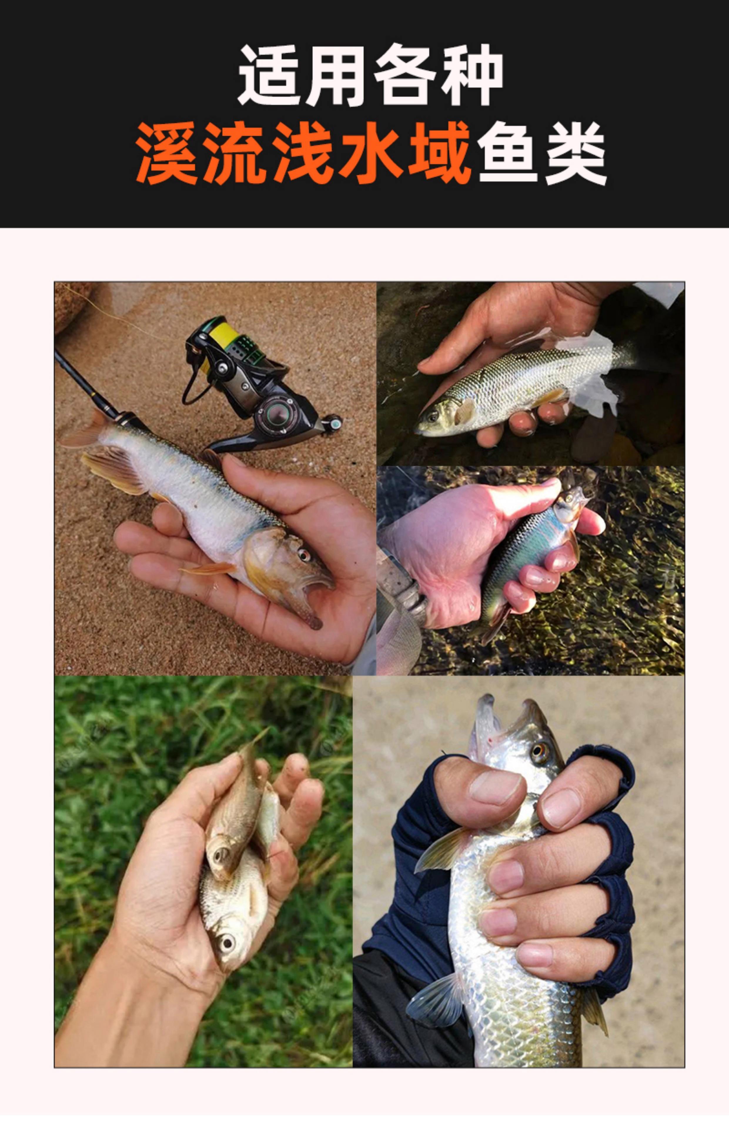 钓溪哥鱼技巧(怎样钓溪哥)