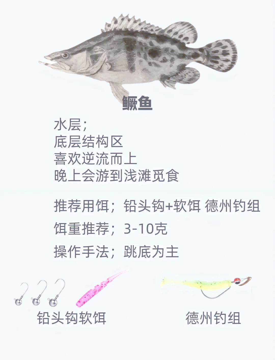 钓鱼找鱼技巧(钓鱼如何找鱼)