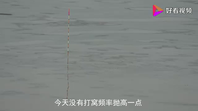 看漂起竿技巧视频(看鱼漂钓鱼) 看漂起竿技巧视频(看鱼漂钓鱼)