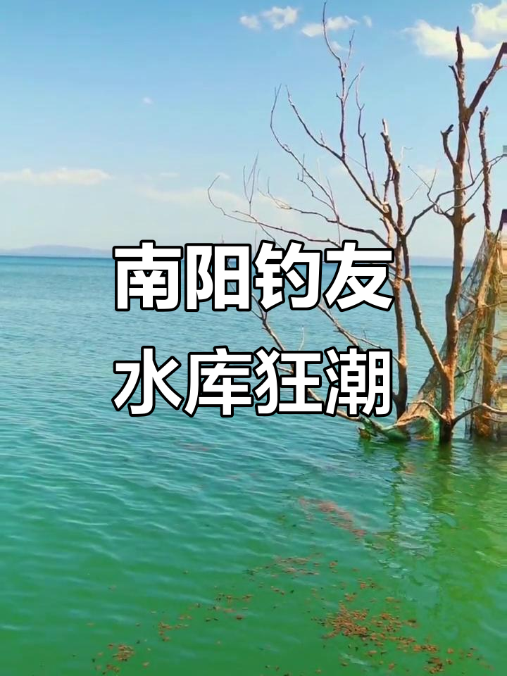 南阳名流渔具在那(近期全国渔具展时间表) 南阳名流渔具在那(近期全国渔具展时间表)