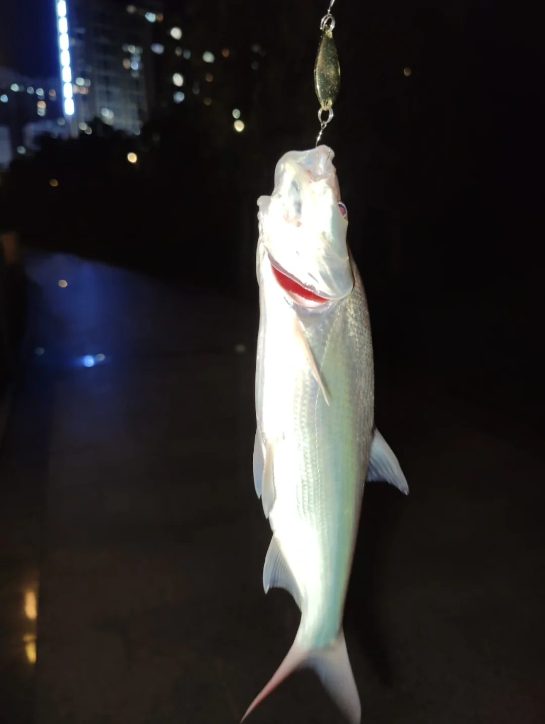 海钓路亚夜间(海边晚上路亚) 海钓路亚夜间(海边晚上路亚)