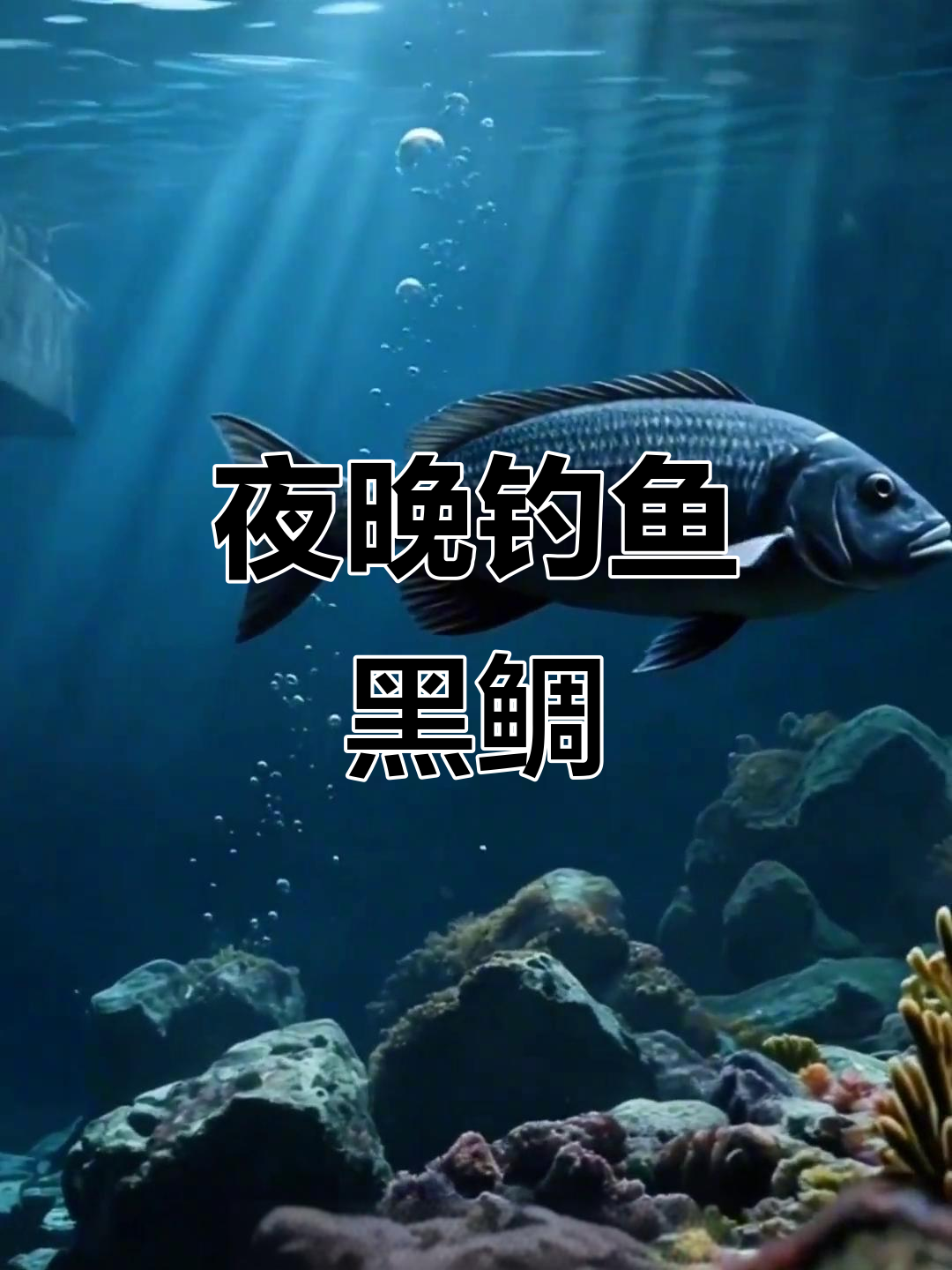 牡蛎排钓上黑鲷技巧(牡蛎鱼怎么做) 牡蛎排钓上黑鲷技巧(牡蛎鱼怎么做)