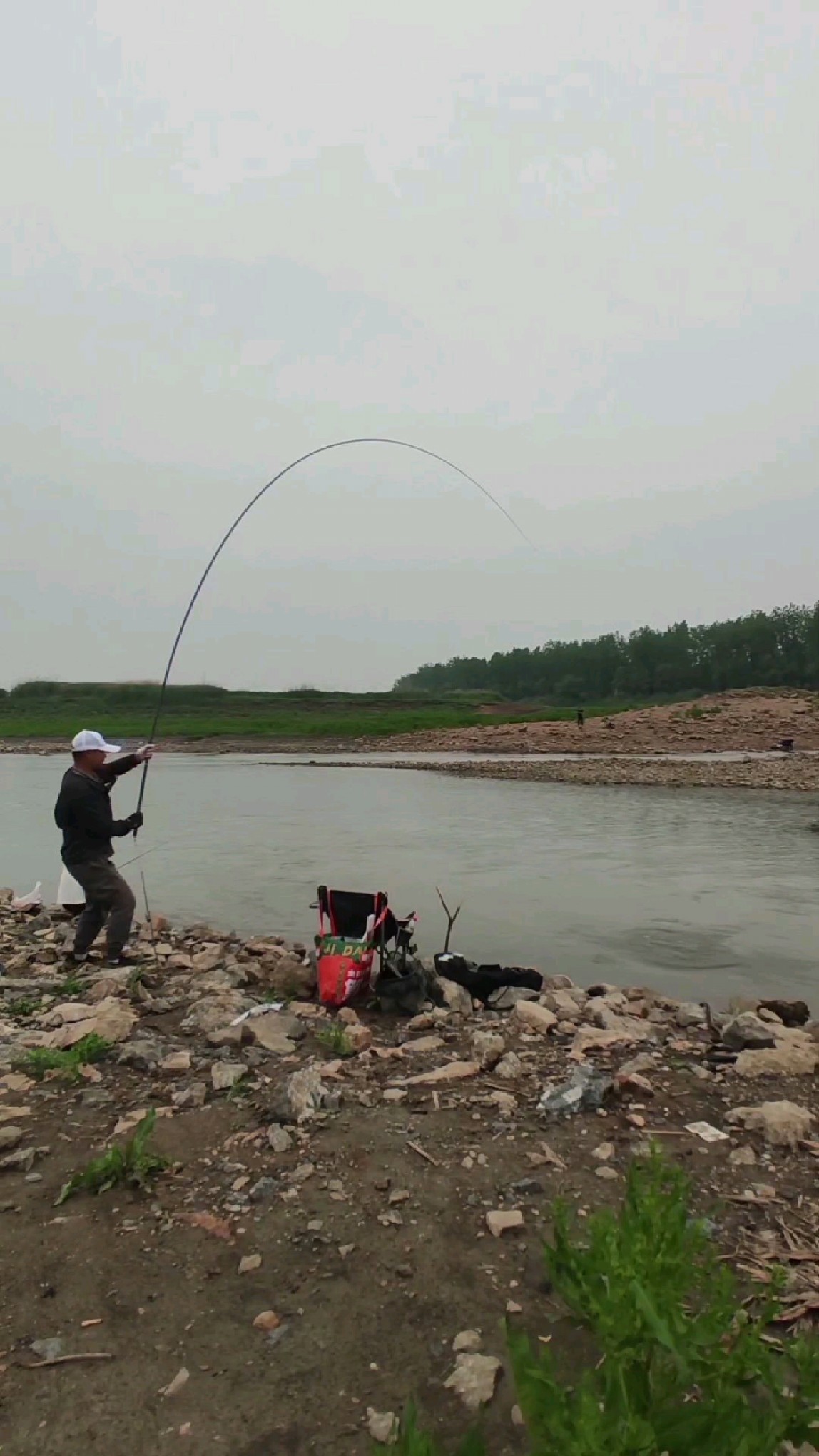 钓鱼海钓草鱼(海竿钓草鱼钓草什么钓)