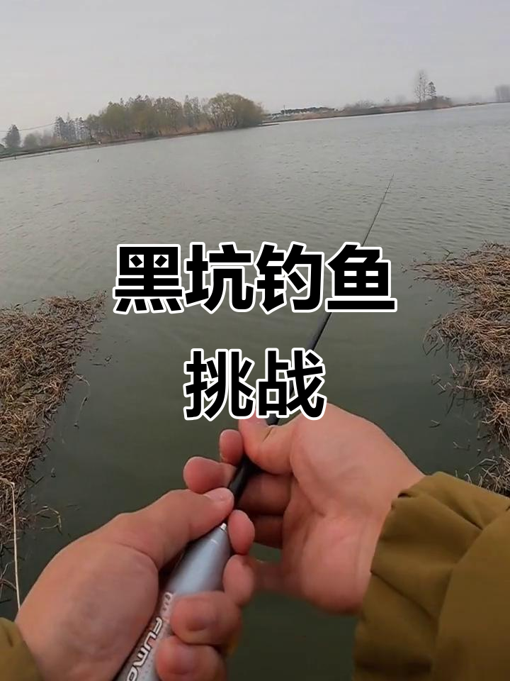 黑坑钓鱼技巧鲫鱼(黑坑钓鲫鱼鱼用什么饵料最好)