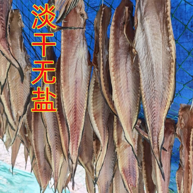 晒海鲶鱼技巧(海鲶鱼为什么寿命就一年)