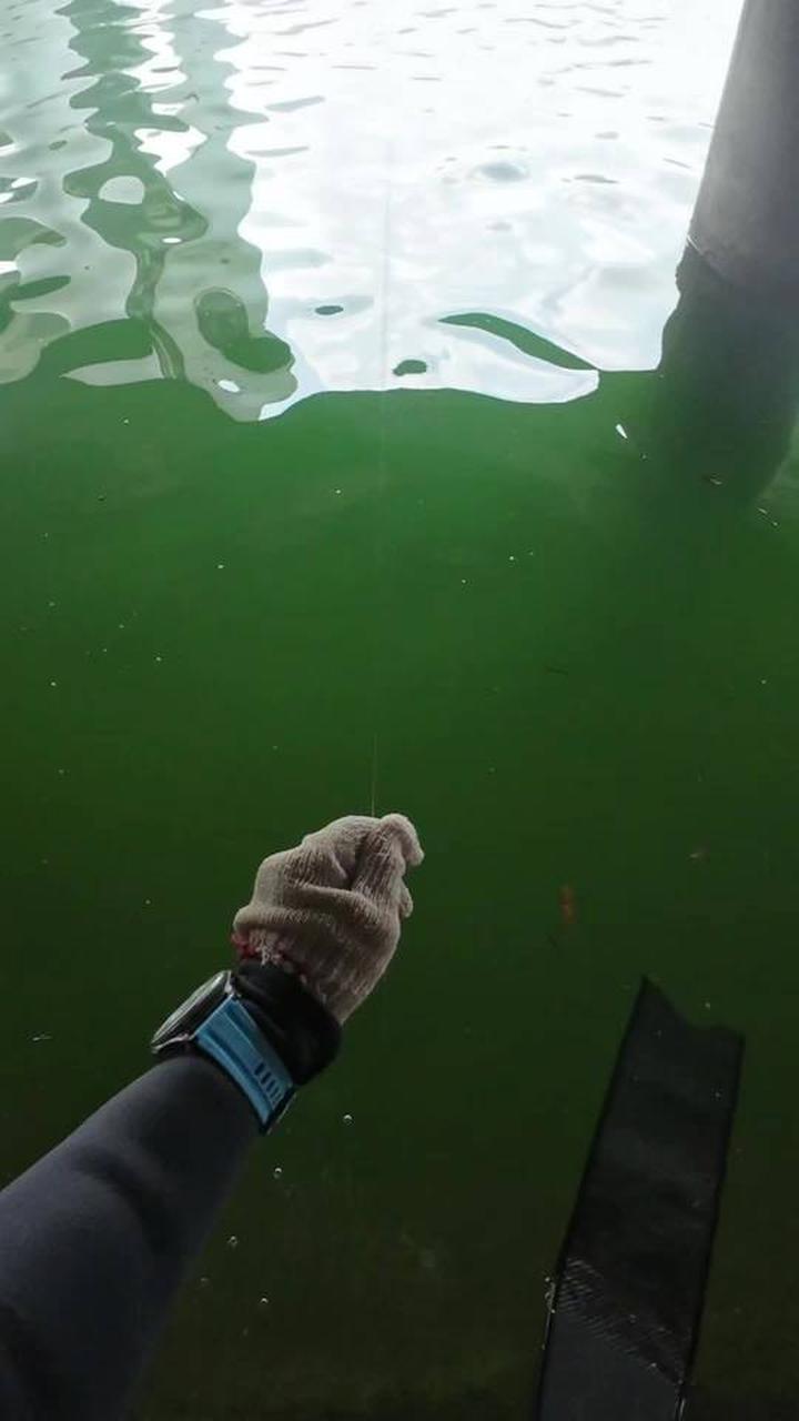 路亚柳江河(柳江河流线路图)