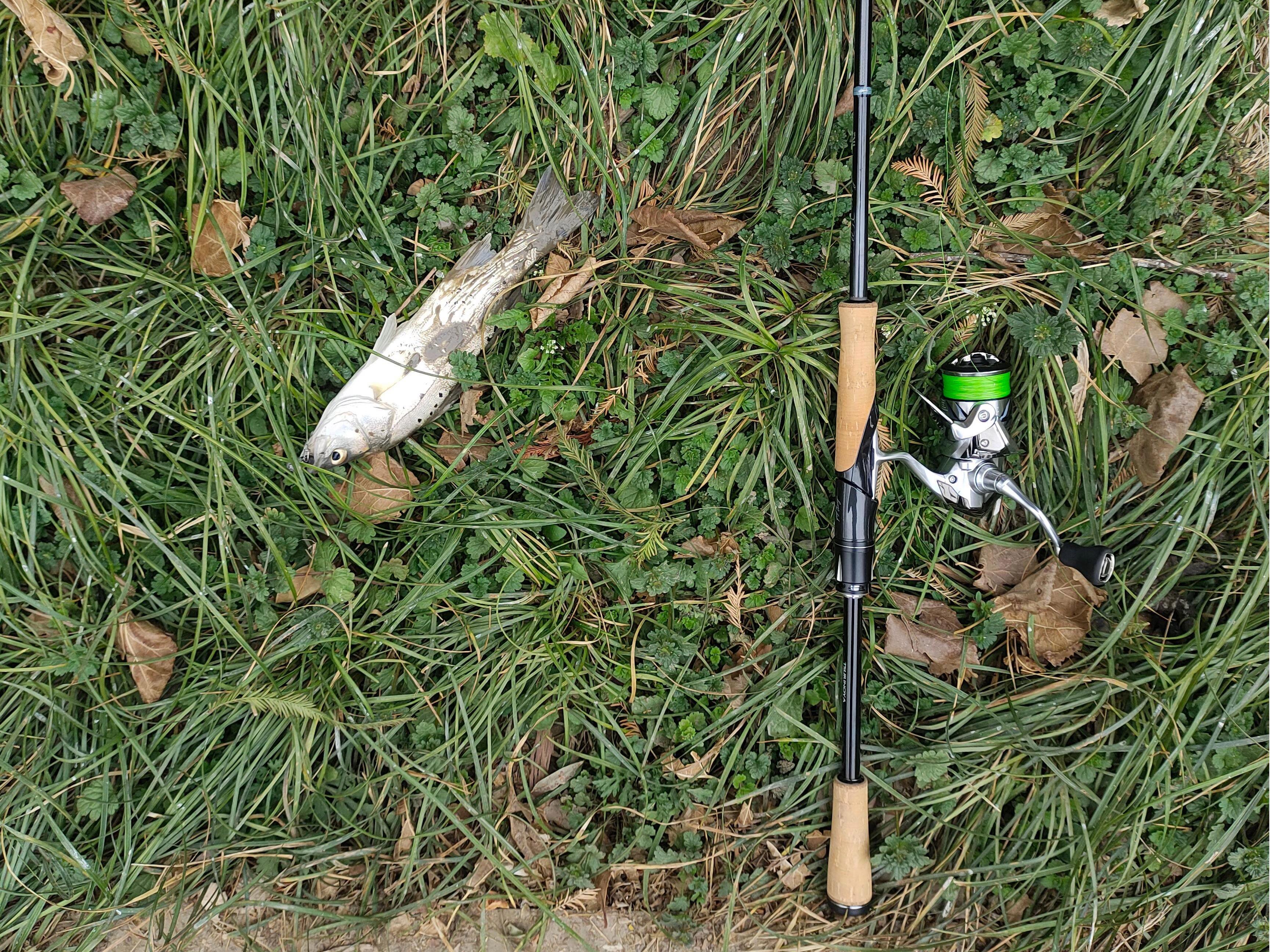 冬季路亚河道(冬季路亚找鱼) 冬季路亚河道(冬季路亚找鱼)