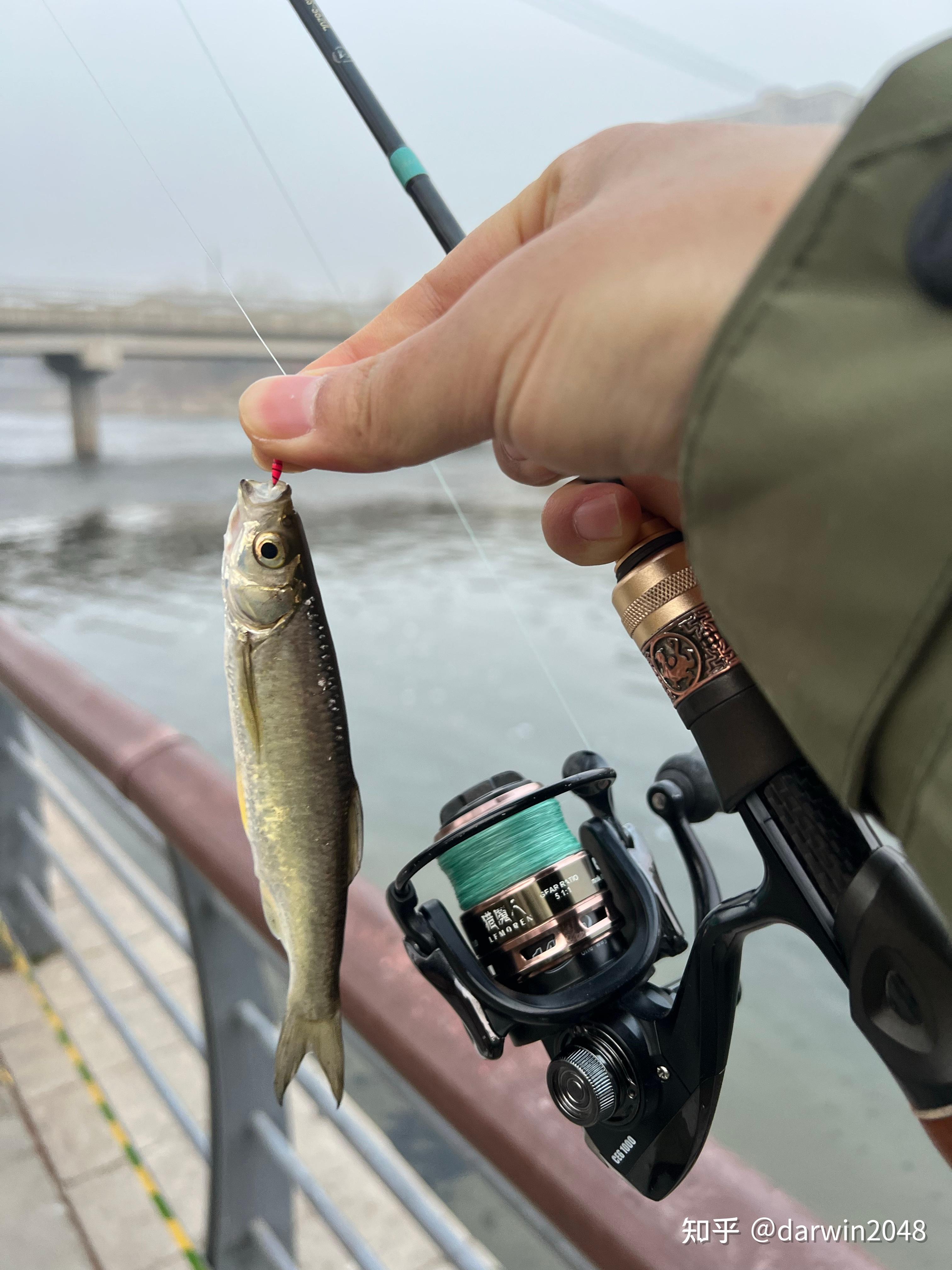 路亚钓鱼温度(路亚最低温度) 路亚钓鱼温度(路亚最低温度)