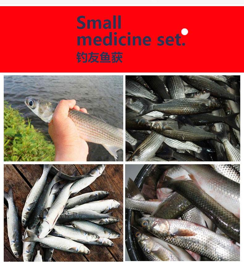 钱塘江钓子鱼的饵料(钱塘江钓子鱼的饵料有哪些) 钱塘江钓子鱼的饵料(钱塘江钓子鱼的饵料有哪些)