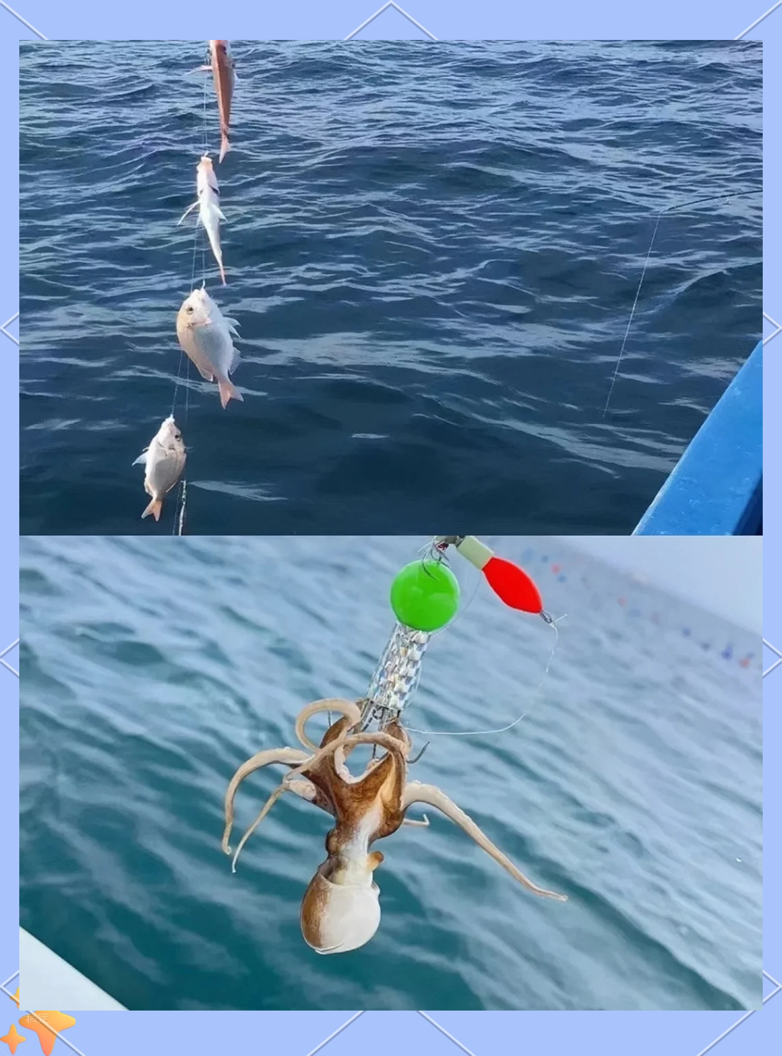 靖海海钓钓场(坦洲镇钓鱼野钓地点)