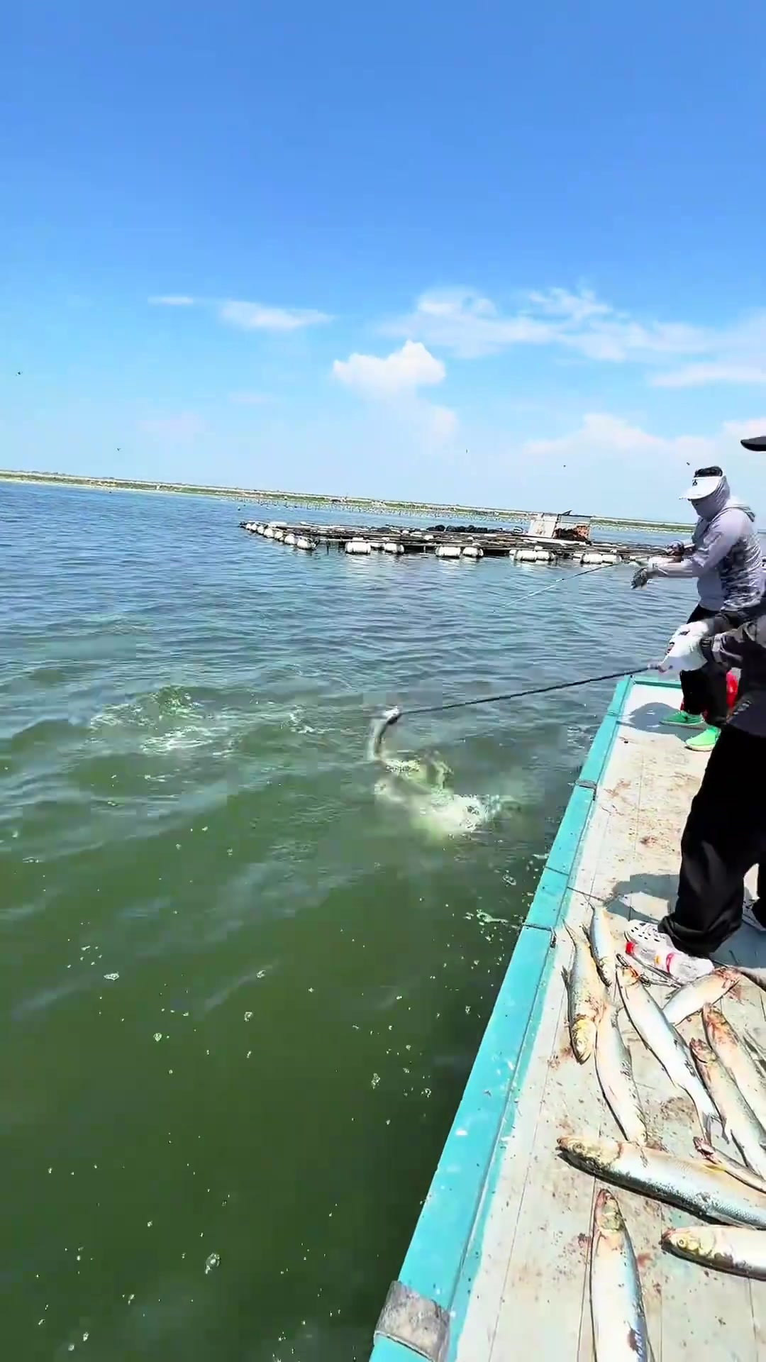 岸礁路亚(为什么说不要碰路亚)