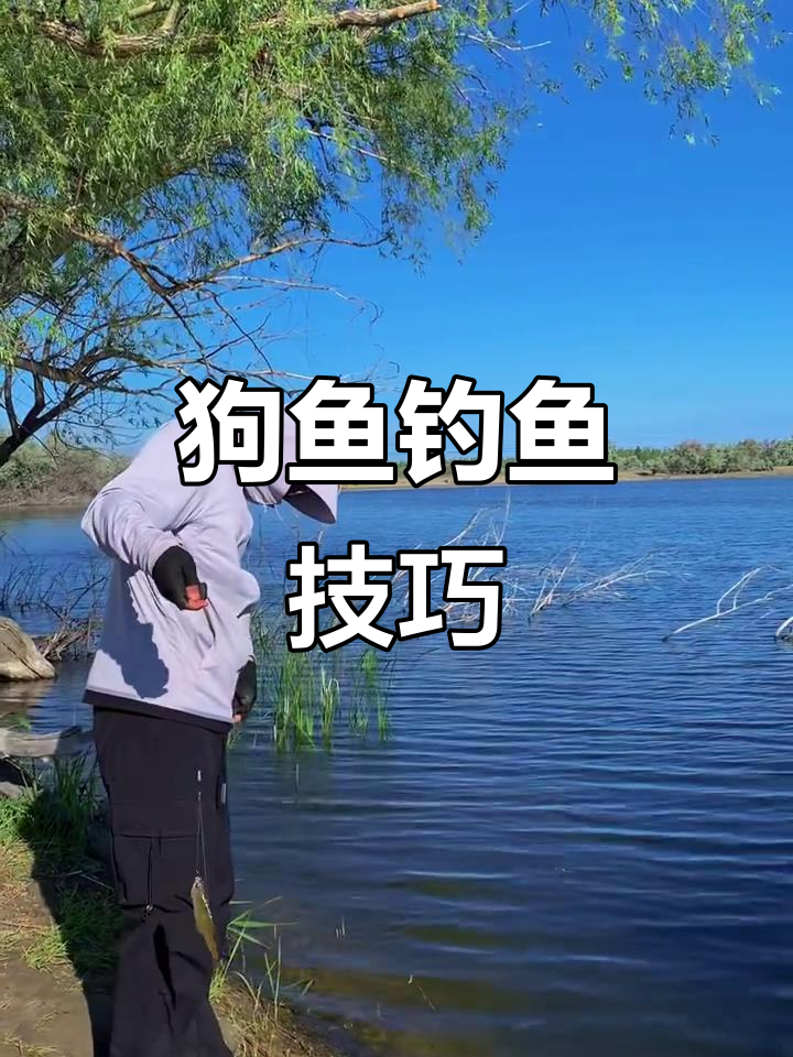 冰钓狗鱼技巧(冰钓狗鱼如何选点)