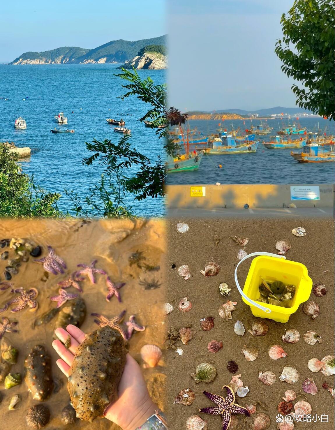 银滩海钓的地方(银滩有海吗)