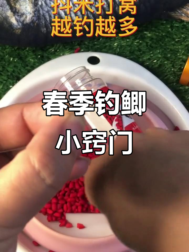 晚春钓鲫魚技巧(晚春钓鱼钓深还是钓浅)