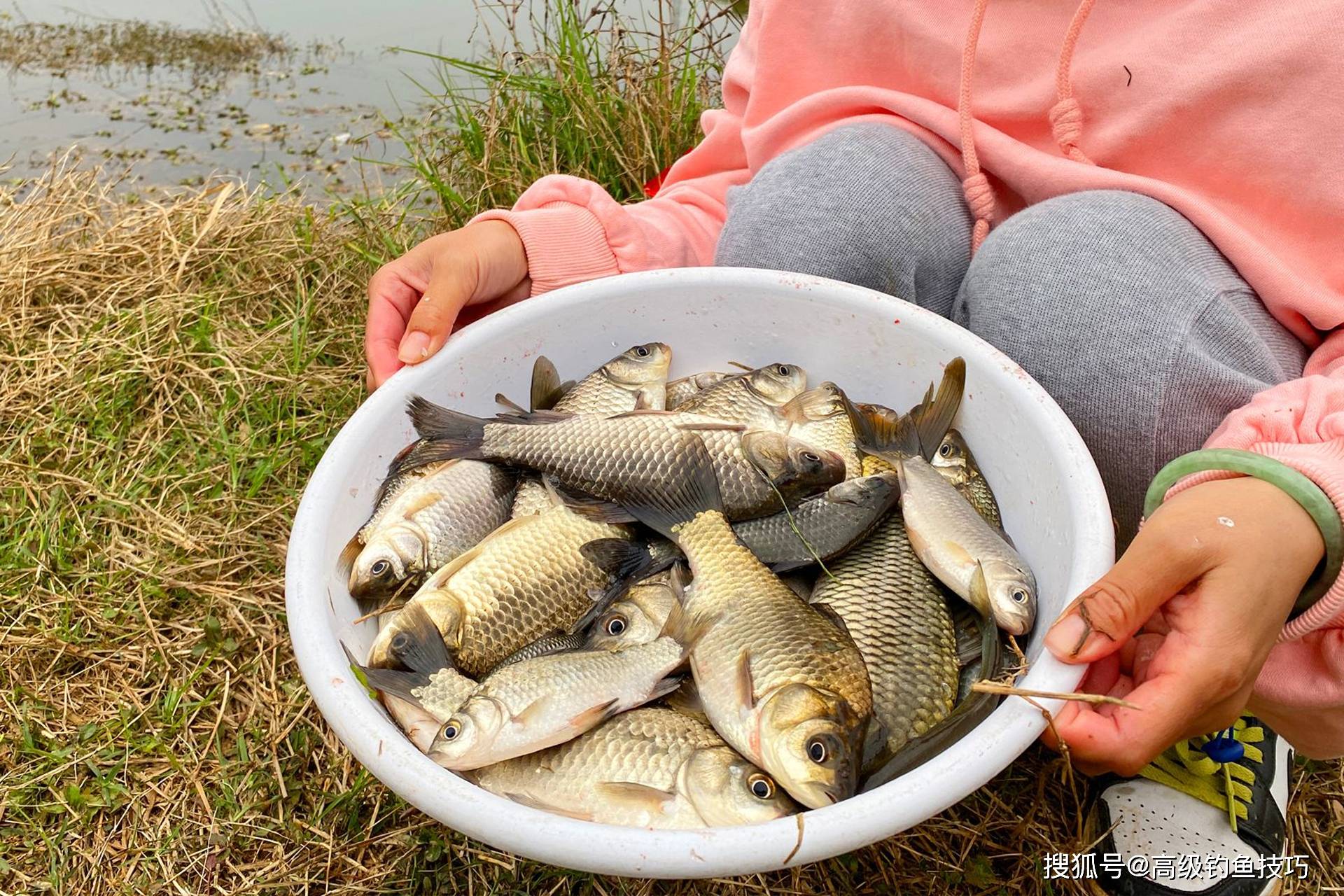 晚春钓鲫魚技巧(晚春钓鱼钓深还是钓浅)