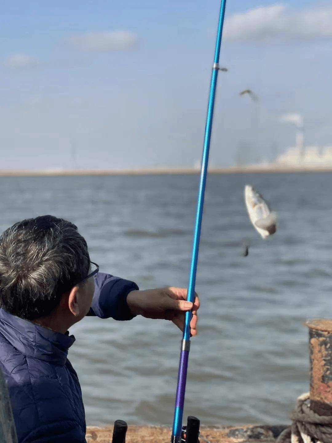 龙口出海钓鱼(龙口出海钓鱼一天能钓多少条)