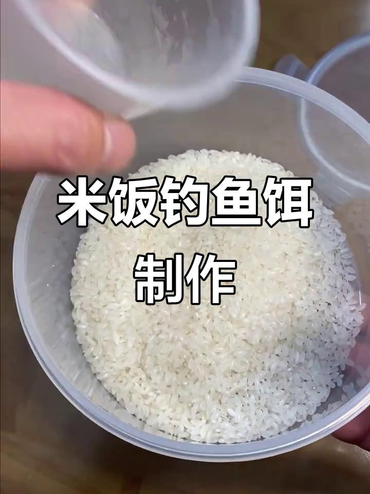 饵料制作技巧视频(做饵料视频)
