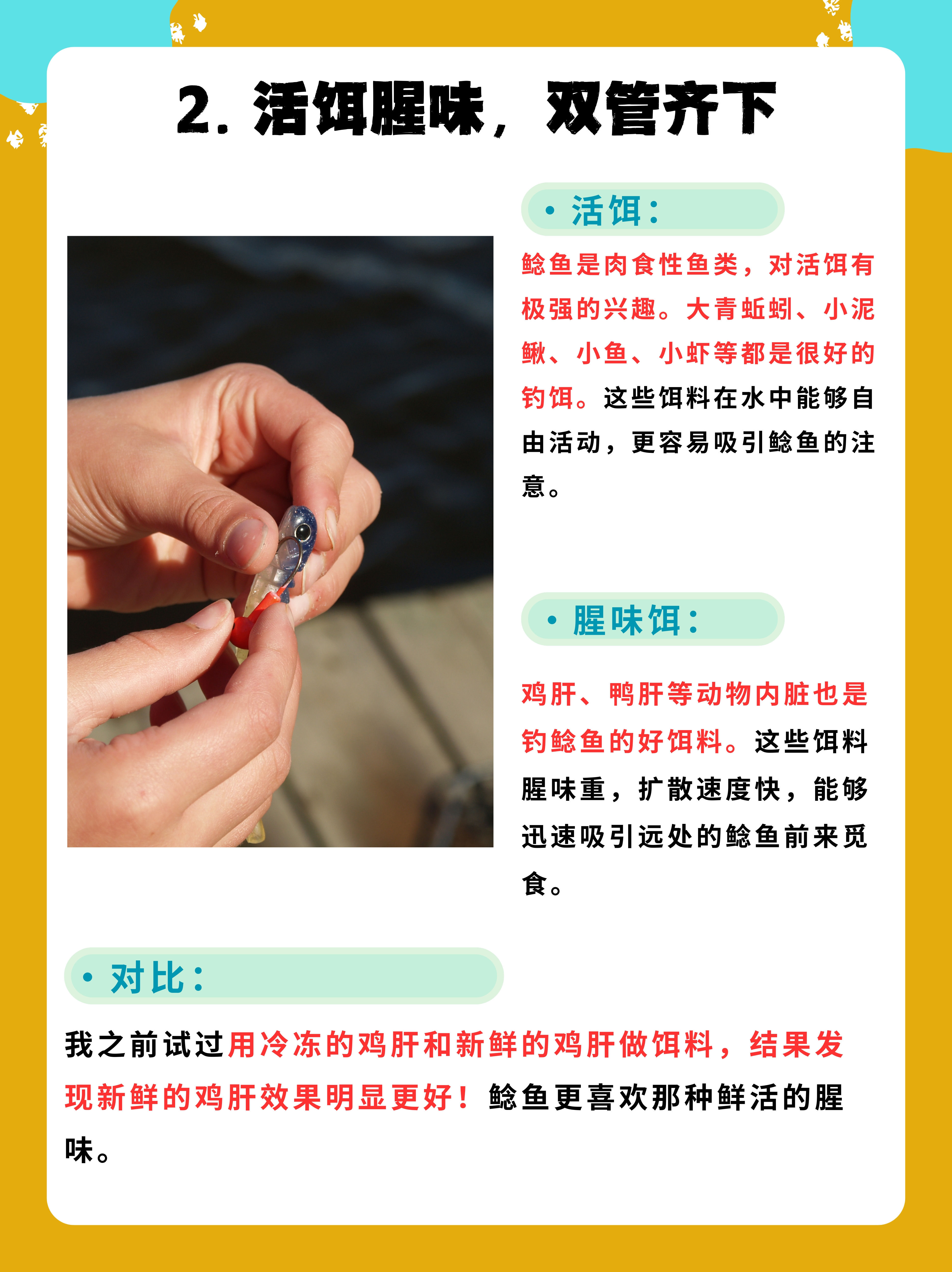 钓钓鲶鱼技巧(如何钓鲶鱼用什么饵)