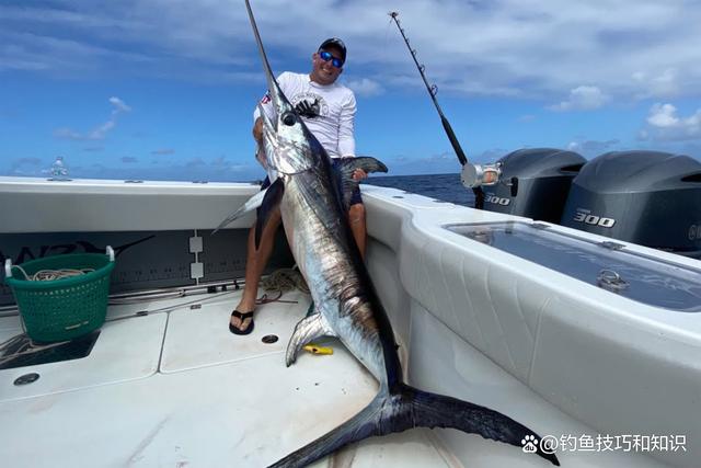 南海海钓大鱼(南海海钓一次要花费多少钱) 南海海钓大鱼(南海海钓一次要花费多少钱)