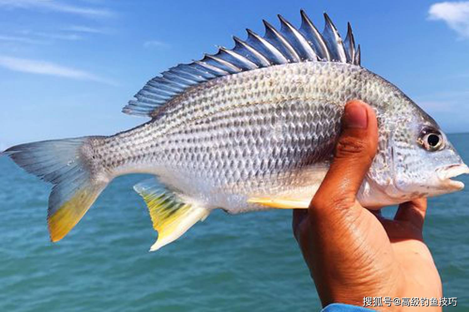 海钓最激动钓什么鱼(海钓拿什么钓)