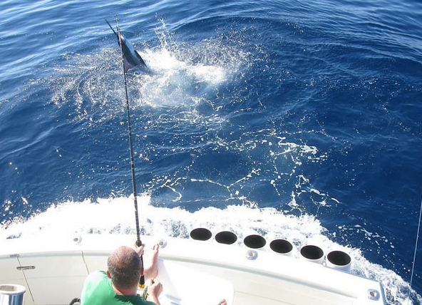 拖钓技巧船(拖钓船需要开多少节)