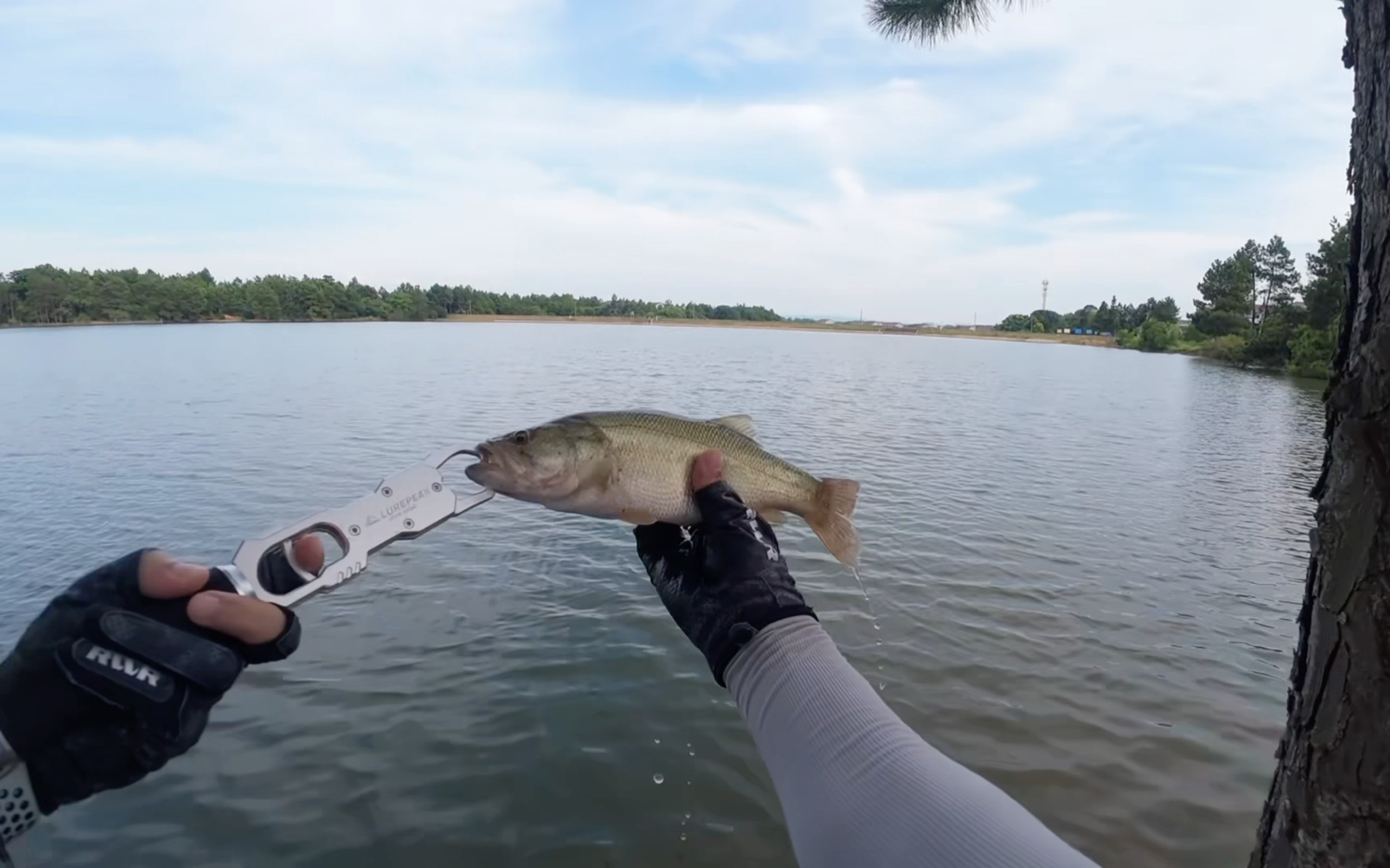 钢城路亚垂钓(路亚钓鲫鱼用视频教程)