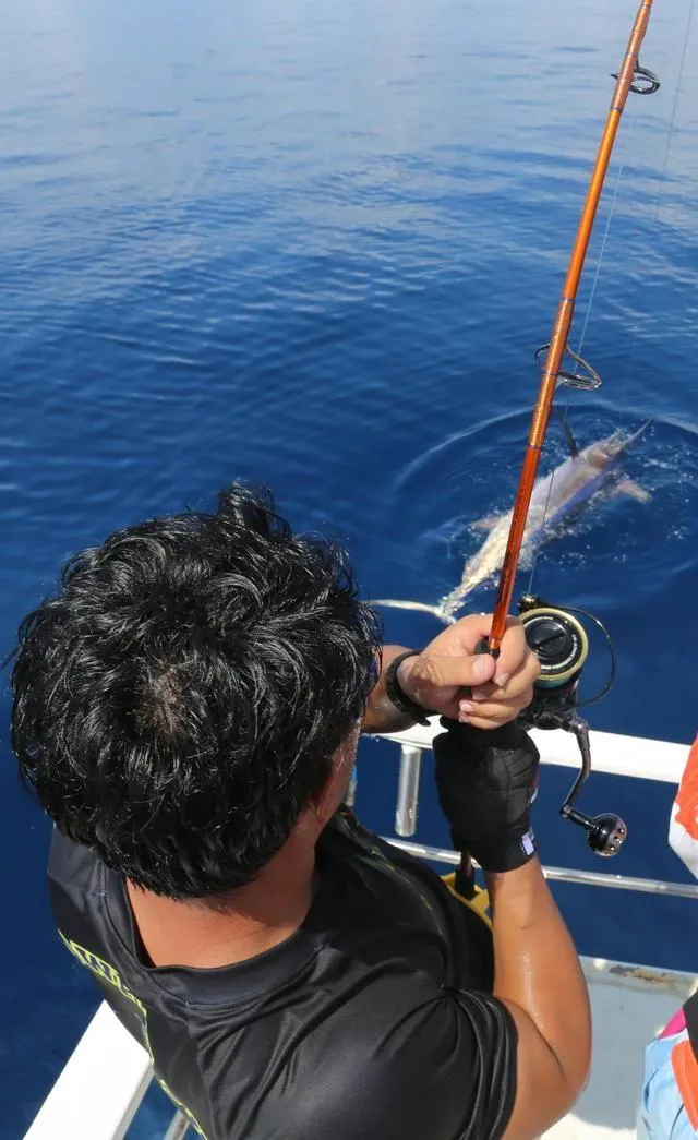 海钓1米的浪(海浪多大适合钓鱼)