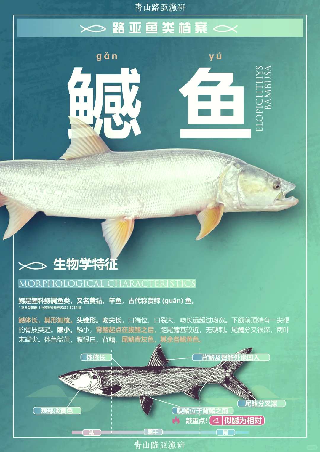 路亚攻鱼技巧(路亚经验分享) 路亚攻鱼技巧(路亚经验分享)