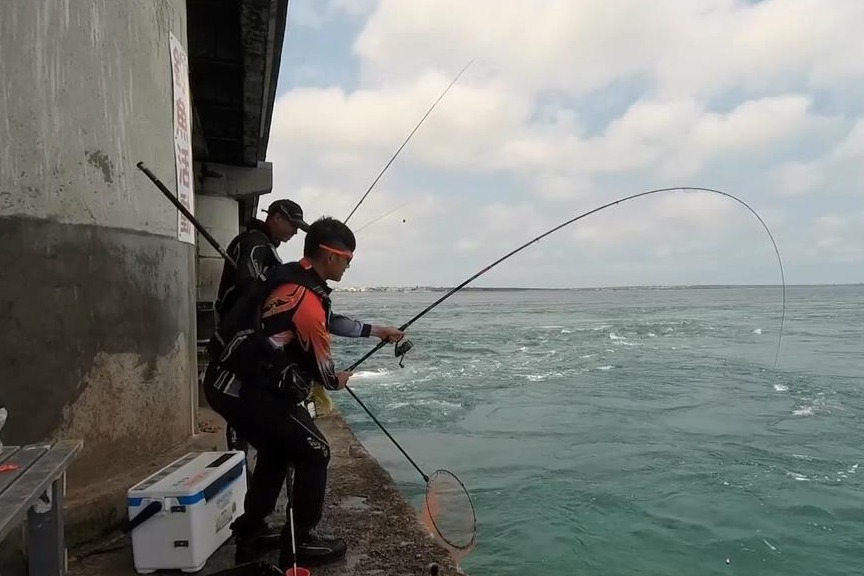 三角海钓鱼图片(三角鱼钓的钓鱼技巧) 三角海钓鱼图片(三角鱼钓的钓鱼技巧)