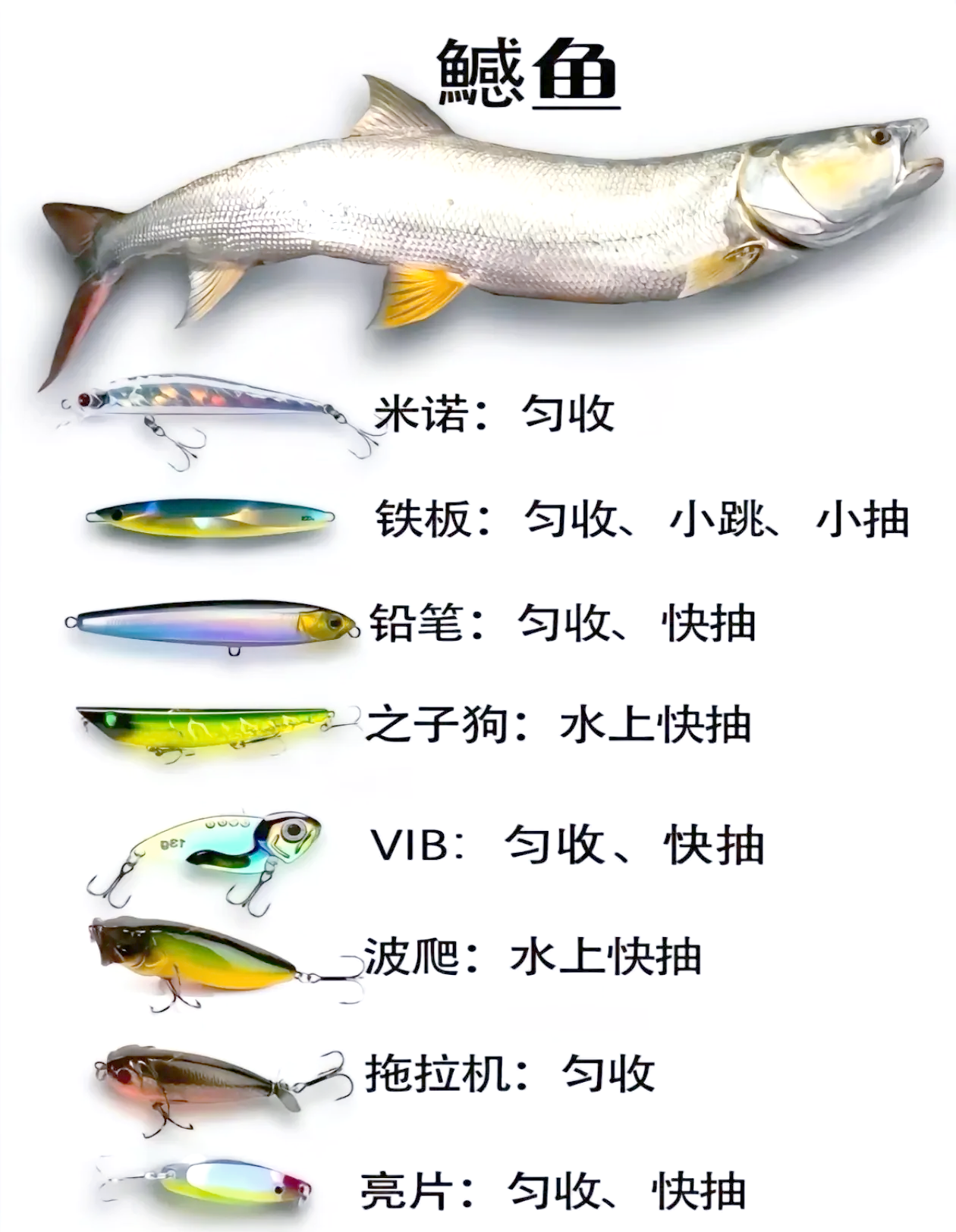 秋季路亚翘嘴用什么饵(秋季路亚钓翘嘴用什么假饵) 秋季路亚翘嘴用什么饵(秋季路亚钓翘嘴用什么假饵)