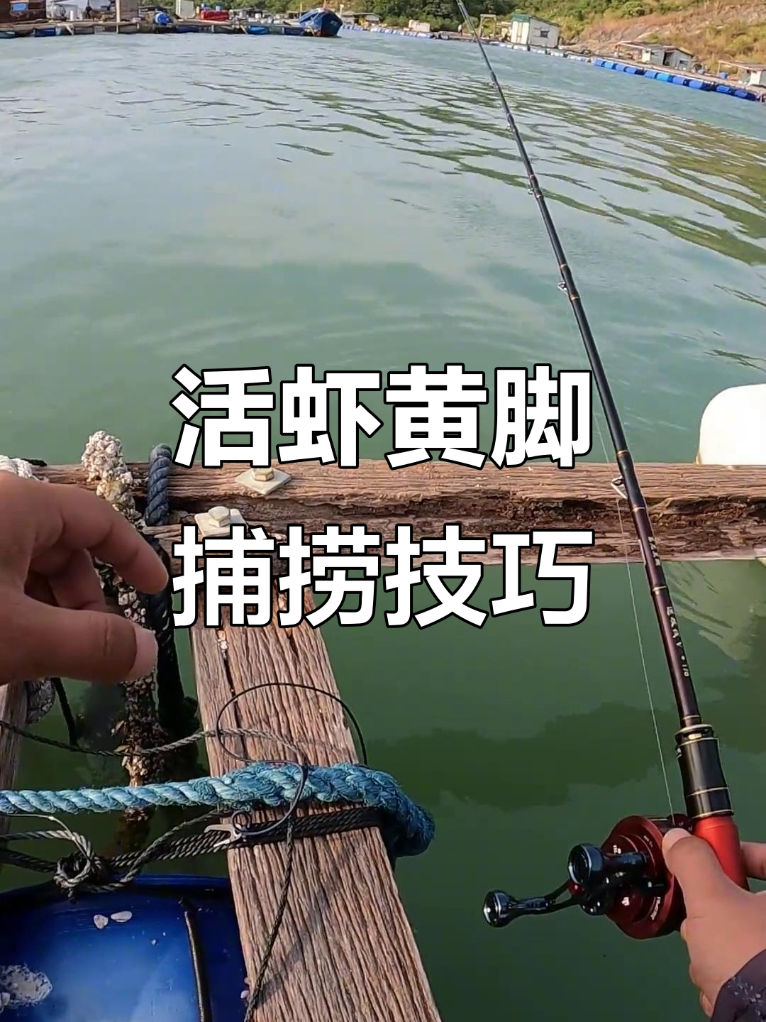 舟山船钓黄鱼技巧(舟山捕到黄鱼) 舟山船钓黄鱼技巧(舟山捕到黄鱼)