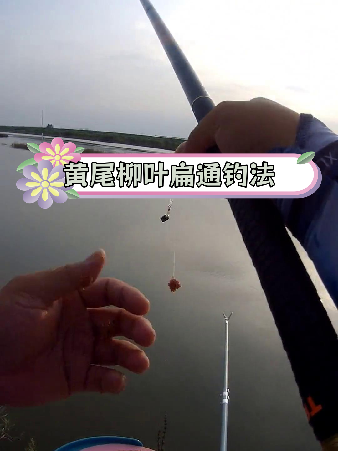 舟山船钓黄鱼技巧(舟山捕到黄鱼) 舟山船钓黄鱼技巧(舟山捕到黄鱼)