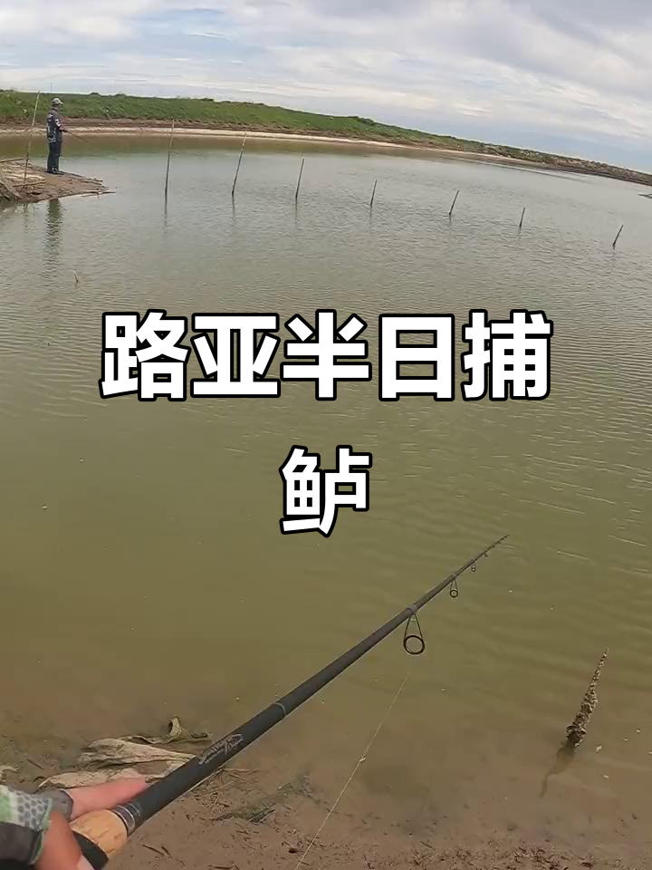 路亚可以海钓不(路亚竿能钓海鱼吗?) 路亚可以海钓不(路亚竿能钓海鱼吗?)