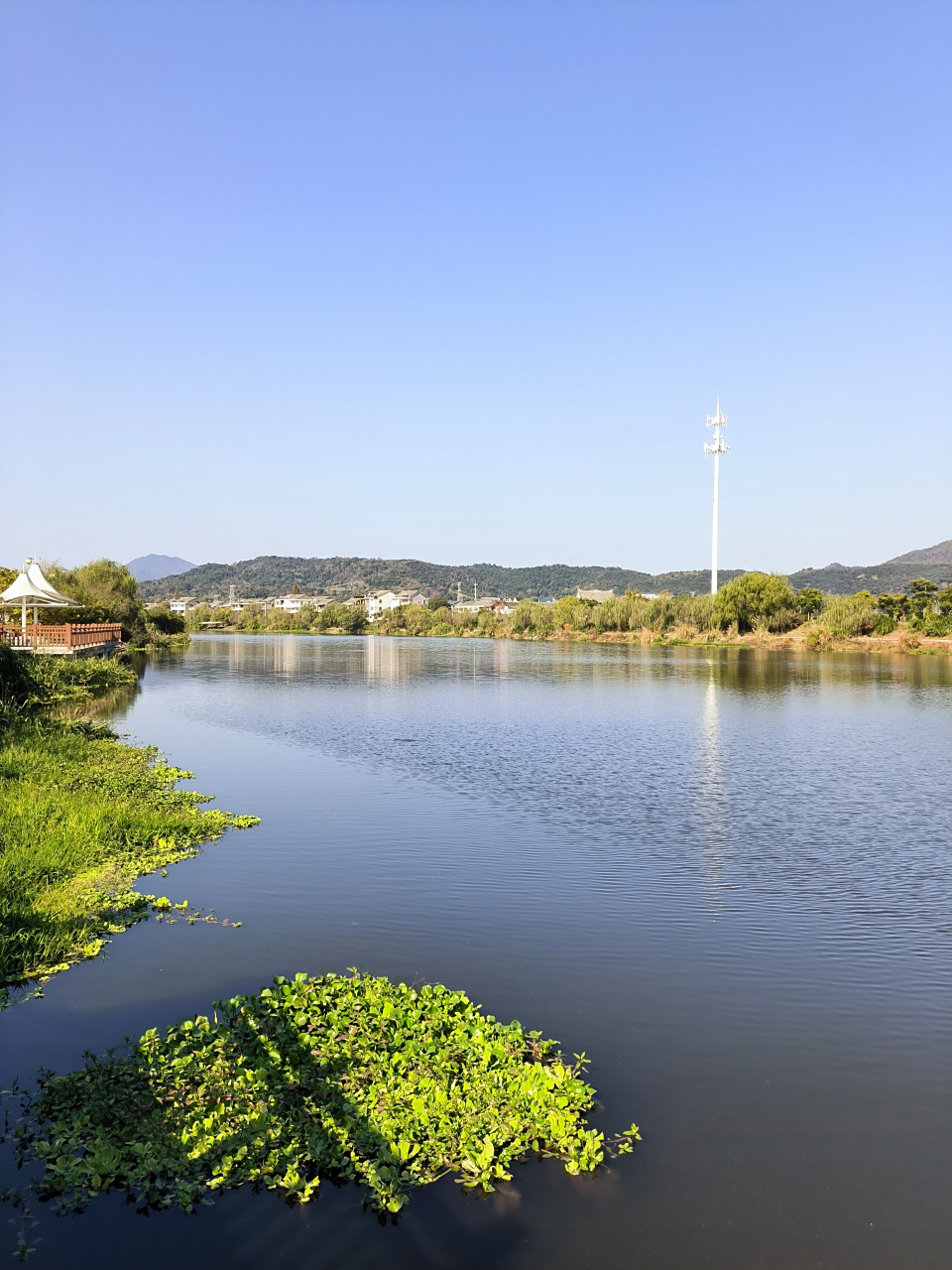 永宁江路亚(为什么不建议玩路亚)