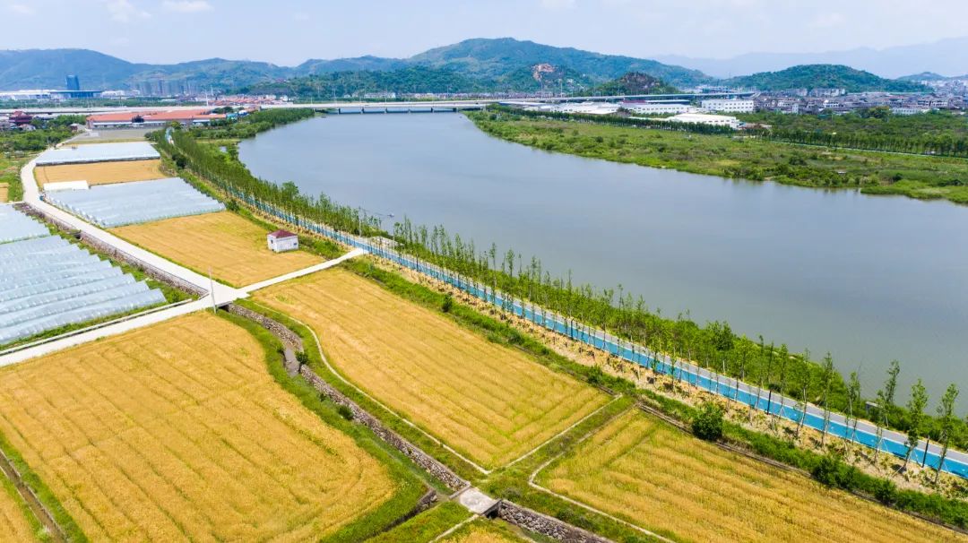 永宁江路亚(为什么不建议玩路亚)