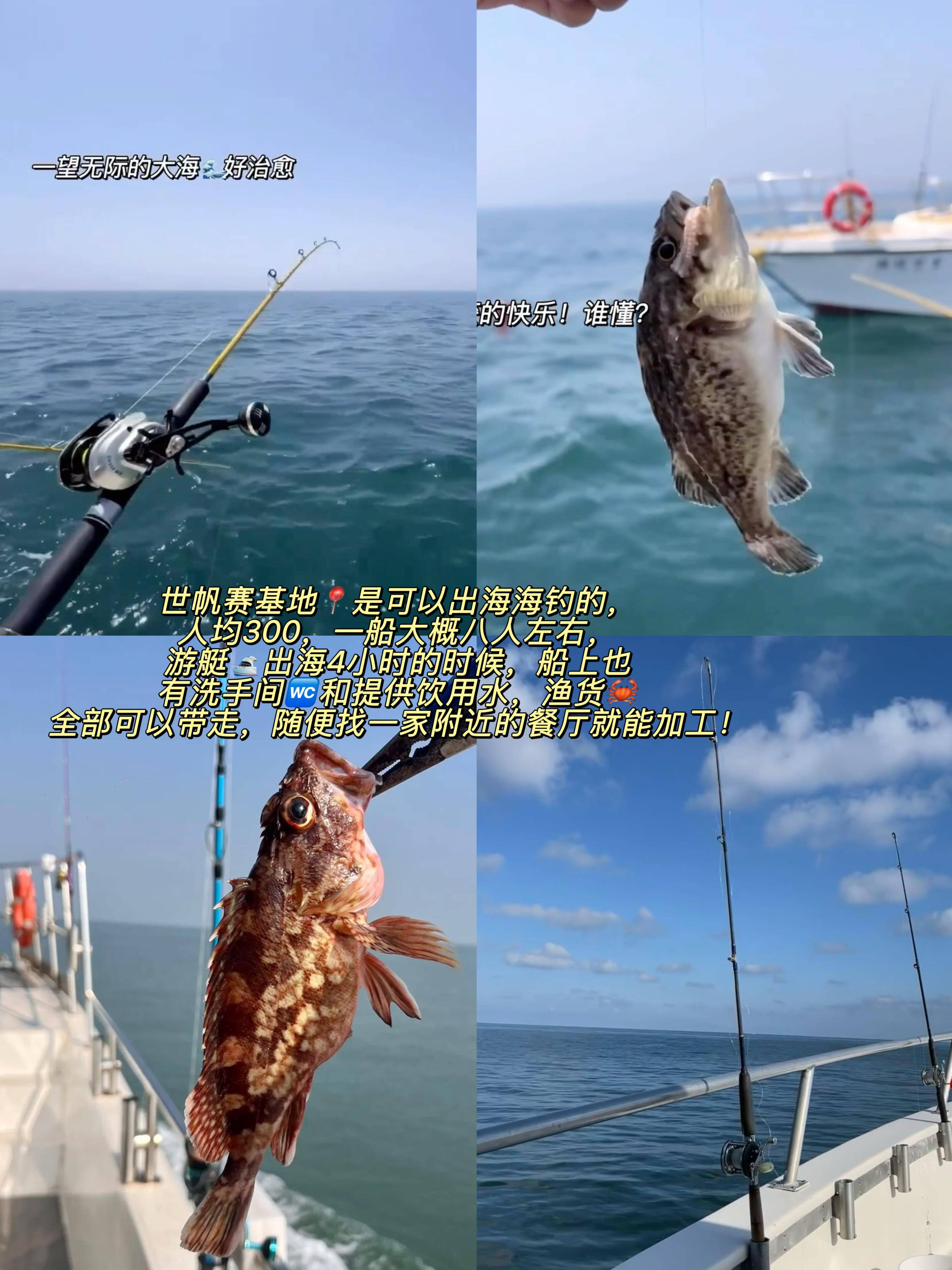 近海钓马鲛鱼的季节(海南钓马鲛鱼季节)