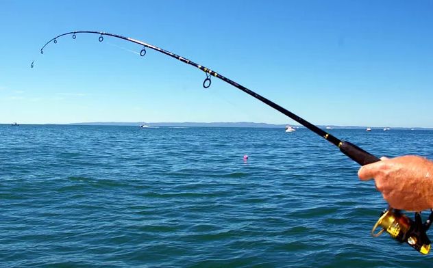 海沧海钓场地(海沧钓鱼休闲农庄)