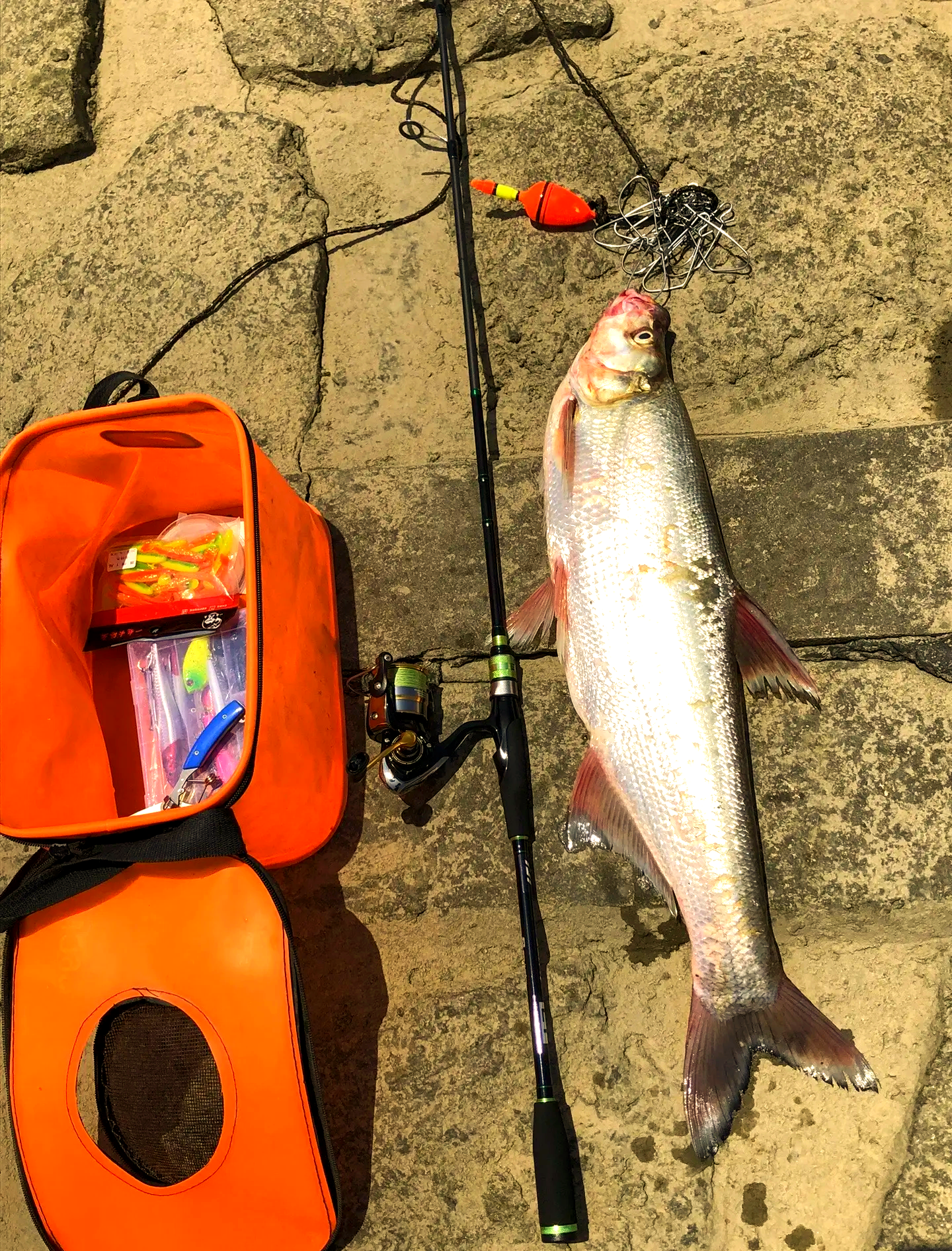 路亚竿是什么意思(玩路亚的都是什么人)