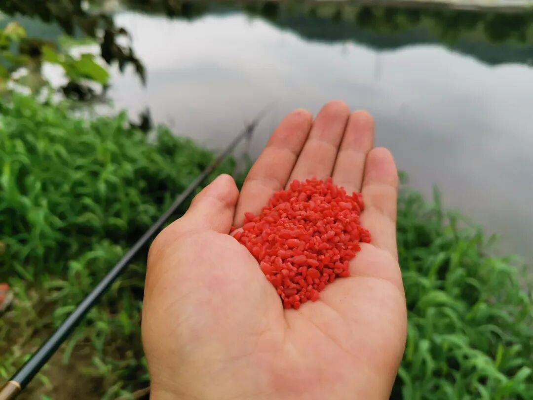 天冷饵料没有鱼口(冬天饵料不出丝) 天冷饵料没有鱼口(冬天饵料不出丝)