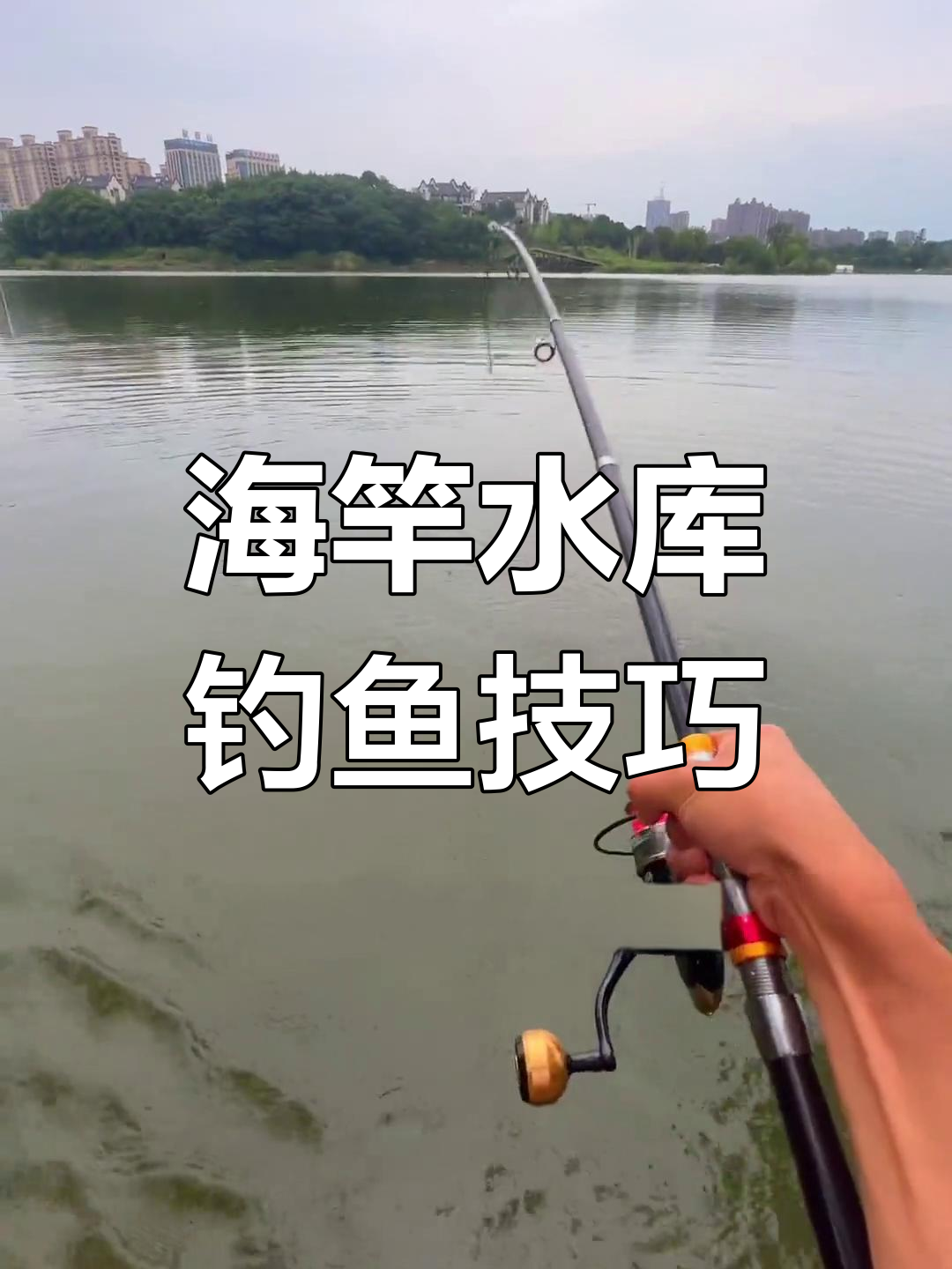 清明水库钓鱼技巧(清明钓鱼技巧全知识)