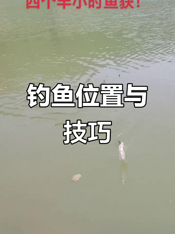 野钓溜鱼技巧教程视频(野钓遛鱼技巧) 野钓溜鱼技巧教程视频(野钓遛鱼技巧)