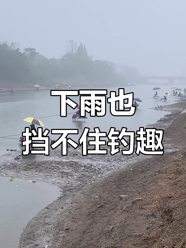 下雨阴天钓鱼技巧(下雨阴天钓鱼怎么钓)