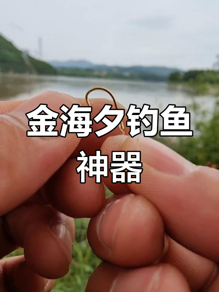 秋季钓黄尾鱼技巧(秋季怎么钓黄尾)