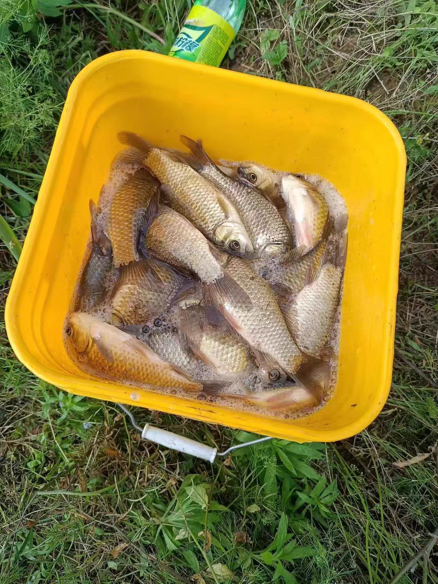 手对鱼饵料过敏怎么办(手对鱼饵料过敏怎么办小妙招)