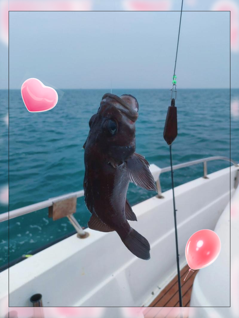 威海姿在海钓俱乐部(威海海钓基地怎么收费的) 威海姿在海钓俱乐部(威海海钓基地怎么收费的)