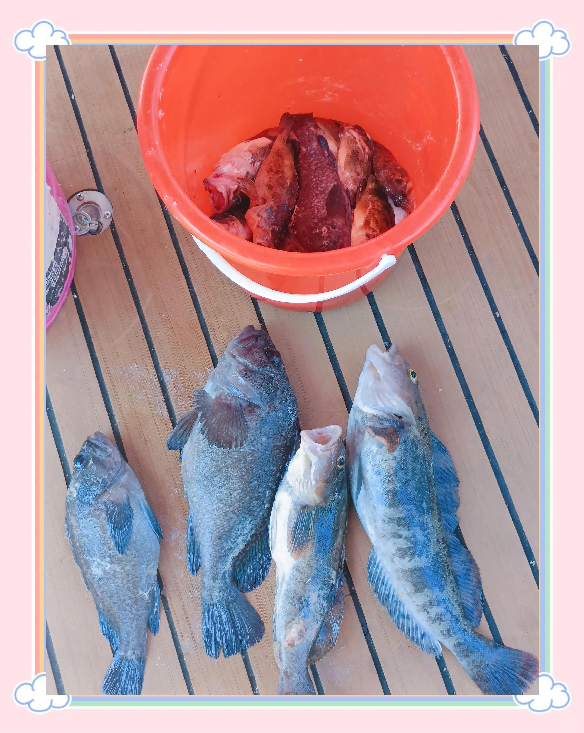 威海姿在海钓俱乐部(威海海钓基地怎么收费的) 威海姿在海钓俱乐部(威海海钓基地怎么收费的)