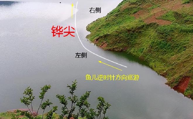 南方冬天河流钓鱼技巧(冬季南方野钓) 南方冬天河流钓鱼技巧(冬季南方野钓)