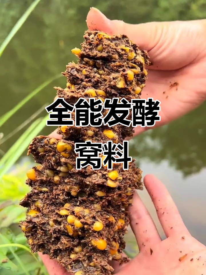 饵料发酵时间(发酵饵料怎么长期保存) 饵料发酵时间(发酵饵料怎么长期保存)